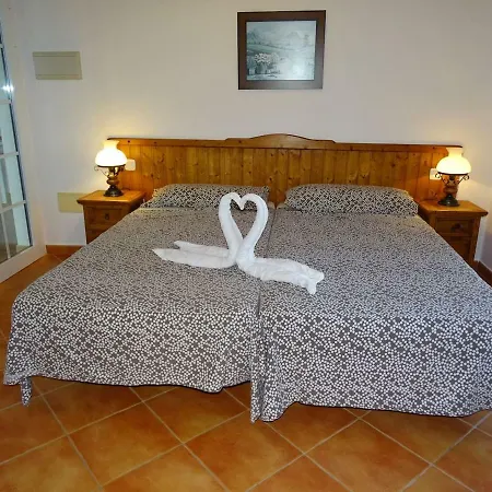 Palmeras 1 * Lajita