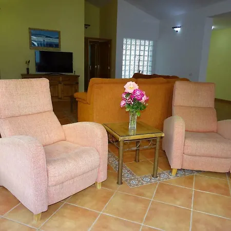 Palmeras 1 Lajita